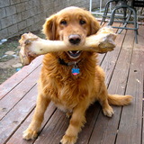 Entry image for Roxy