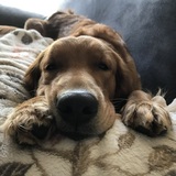 Entry image for Bailey