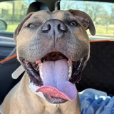 Entry image for Titan