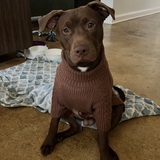 Entry image for Cadbury