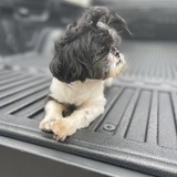 Entry image for CoCo Bean