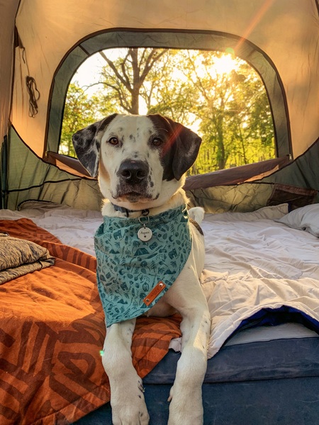 Entry image for Aspen. Clicking this image will show a larger photo