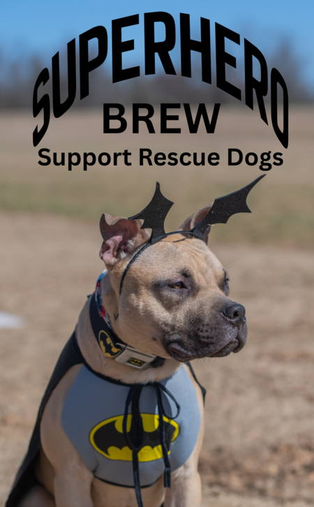 Entry image for Batman. Clicking this image will show a larger photo