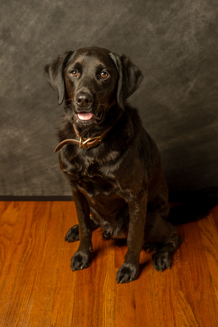 Entry image for Cowboy . Clicking this image will show a larger photo