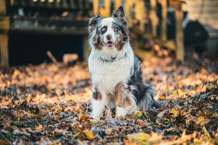 Entry image for Marlo . Clicking this image will show a larger photo