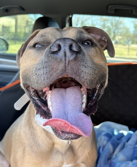 Entry image for Titan. Clicking this image will show a larger photo