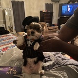 Entry image for George