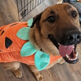 Entry image for LeeLee