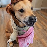 Entry image for Chili