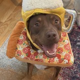 Entry image for ILeenie