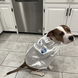 Entry image for Mr. Winston 