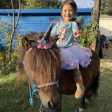 Entry image for Cinco 