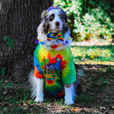 Entry image for Marlo 