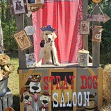 Entry image for Dallas