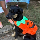 Entry image for RIVER