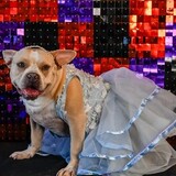 Entry image for Catherine