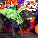 Entry image for Ares