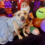 Entry image for Catherine and JJ (gnome Chihuahua) 