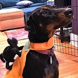 Entry image for Milli