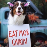 Entry image for Forrest (aka little dude) 