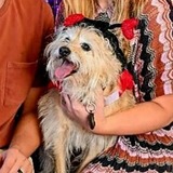 Entry image for Millie