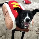 Entry image for Marina