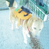 Entry image for Frederick, haunted by a cat 