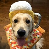 Entry image for Wally