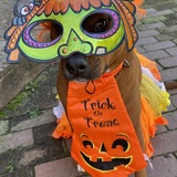 Entry image for Carley