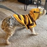 Entry image for Ruthie