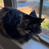 Entry image for Masha the Sassy Witch