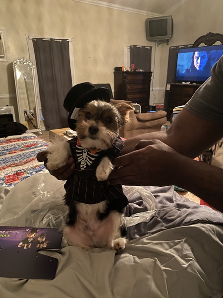 Entry image for George. Clicking this image will show a larger photo