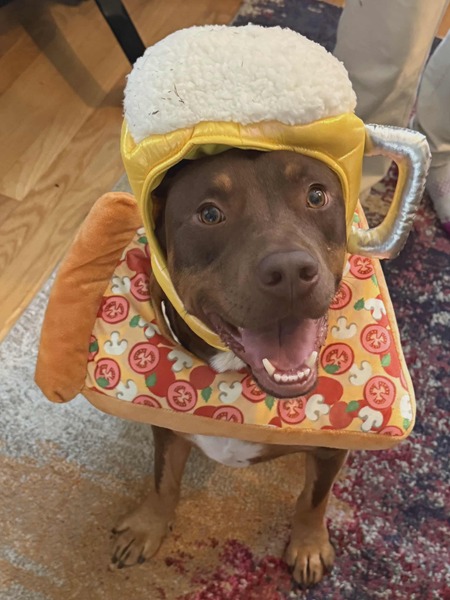 Entry image for ILeenie. Clicking this image will show a larger photo