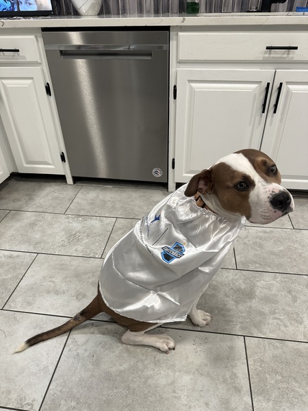 Entry image for Mr. Winston . Clicking this image will show a larger photo