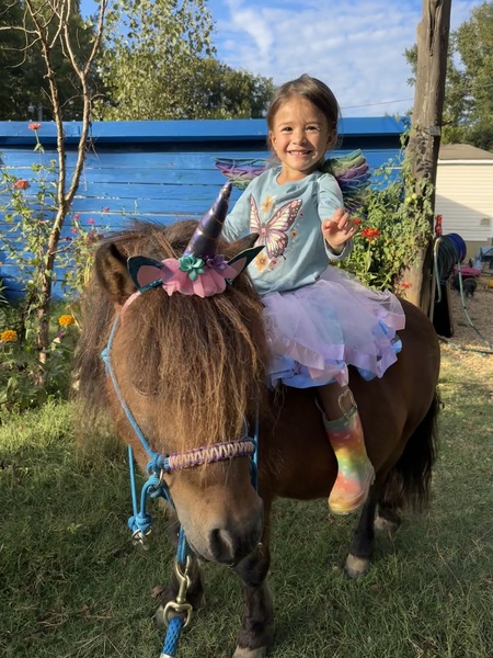 Entry image for Cinco . Clicking this image will show a larger photo