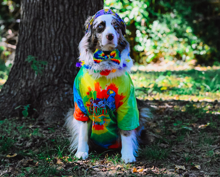 Entry image for Marlo . Clicking this image will show a larger photo