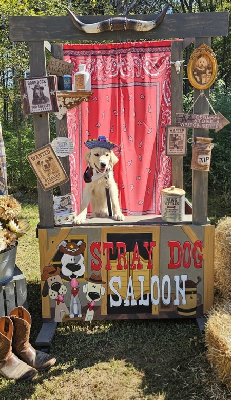 Entry image for Dallas. Clicking this image will show a larger photo