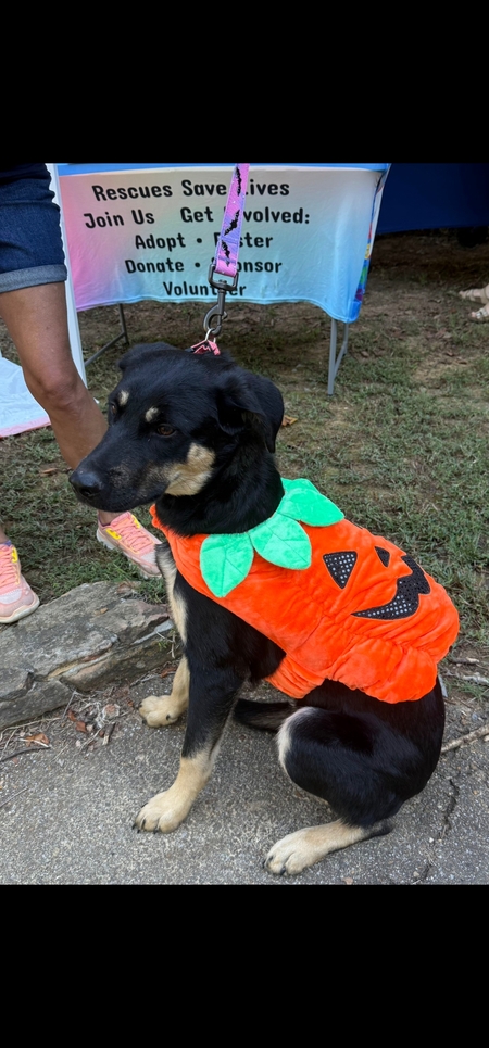 Entry image for RIVER. Clicking this image will show a larger photo