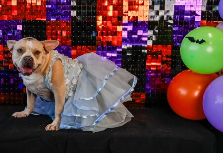 Entry image for Catherine. Clicking this image will show a larger photo