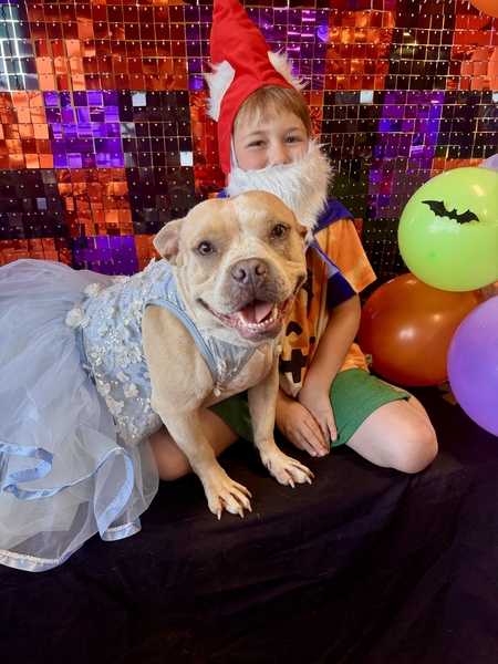 Entry image for Catherine and JJ (gnome Chihuahua) . Clicking this image will show a larger photo