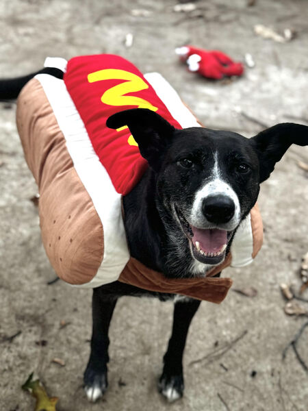 Entry image for Marina. Clicking this image will show a larger photo