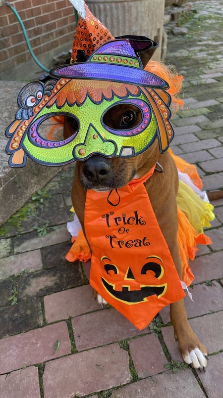 Entry image for Carley. Clicking this image will show a larger photo