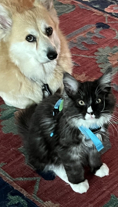 Beatrice & Charles