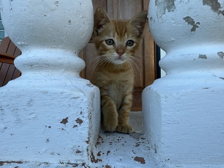 Billy