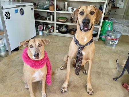 Sara and Jazz