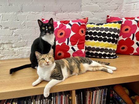 Mia and Chiva