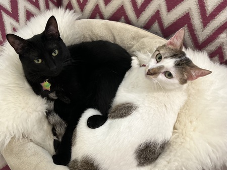 Denny and Sammie