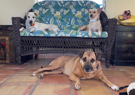 Jama, She-Ra, and Perla