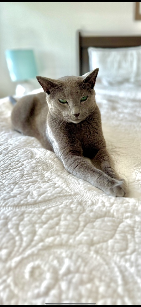 Boris 