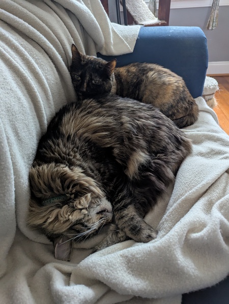 Gravyboat and Lady Sage